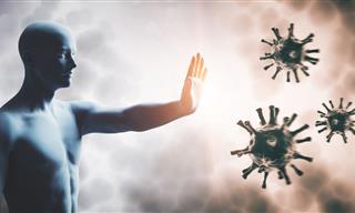 7 Interesting Facts About The Human Immune System
