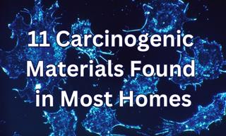 11 Carcinogenic Materials Found in Most of Our Homes
