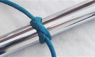 Learn How to Tie The Constrictor Knot