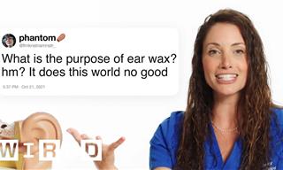This Video Answers Every Question You Had About Hearing