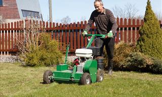 Here Are Some Handy Lawn Care Tips for the Summer Season