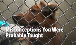 10 Common Misconceptions Proved Wrong