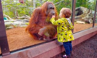 When Kids Go to the Zoo, Hilarity Ensues