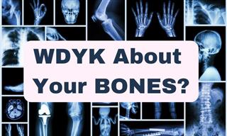 WDYK About the Your Bones?