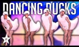 The DUCK Lake?