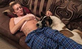 Dog Saves Pregnant Owner's Life