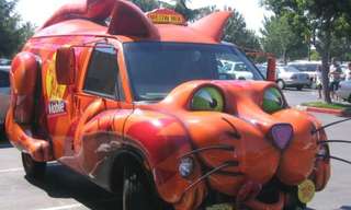 It's a Tortoise, It's a Hot dog, It's a Car!