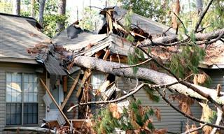 Hurricane Aftermath Survival Checklist: Dos and Don'ts