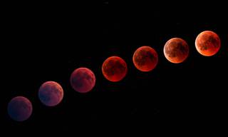 20 Images of the Blood Moon from All Over the World