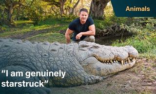 Introducing Henry, the Oldest Crocodile in the World