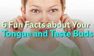 Fun Tongue and Taste Bud Facts