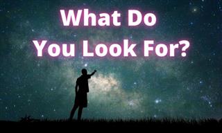 Quiz: What Do You Look For?