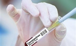 The Morally Murky Way to Speed Up Covid-19 Vaccine Process