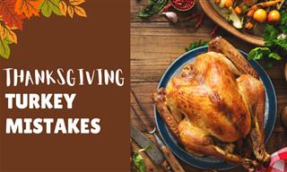 Save Your Thanksgiving with These Turkey Tips