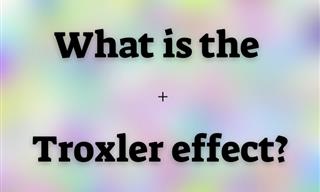 Troxler Effect Cancels Out Stimuli. How Does it Help You?
