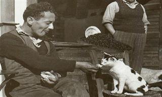 17 Vintage Cat Photos to Please Your Heart
