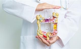 The Symptoms of Ulcerative Colitis