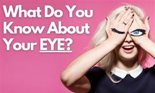 QUIZ: What Do You Know About Your Eyes?