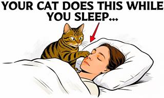 Strange Things Your Cat Does While You Sleep