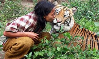 Humans and Wild Animals CAN Be Friends...