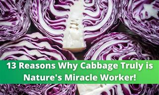 13 Incredible Health Benefits of Cabbage