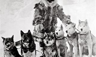 The 1925 Serum Run to Nome: The Great Race of Mercy
