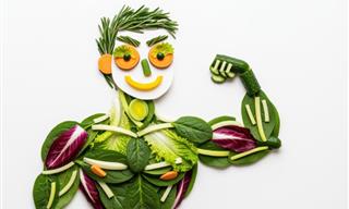 Fiber vs. Protein: Which One Does Your Body Really Need?