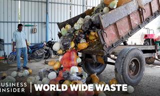 How Food Waste Can Be Turned Into a Clean Energy Source