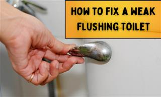 How to Fix a Weak Flushing Toilet in 6 Different Ways