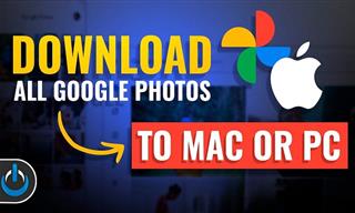 Full Guide: How to Download Google Photos to PC in 2024