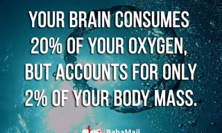 11 Mind-Boggling Brain Facts