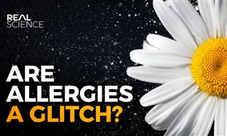 Why Do We ACTUALLY Have Allergies?