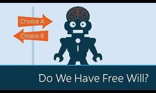 Do We Have Free Will? The Video That Split the Internet