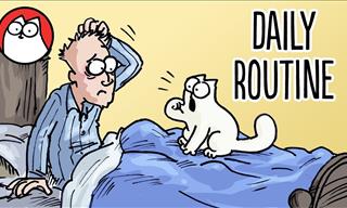 Simon's Cat Compilation: Daily Routines