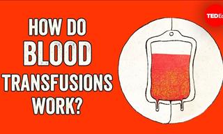 How Blood Transfusions Changed Medicine Forever