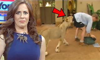 Cute Corner: When Animals Mess With News Reporters