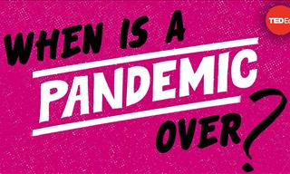 The Signs That a Pandemic Is Over