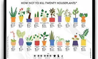 With These Nifty Gardening Charts You Need No Green Thumb
