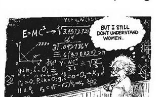 Hilarious Cartoon Collection