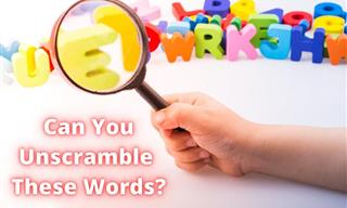QUIZ: Can You Unscramble the Words in Time?