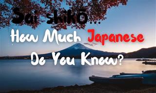 How Many Japanese Words Do You Know