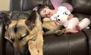 19 Photos Showing the Love Between Kids and Dogs