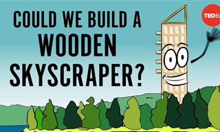 Are Wooden Skyscrapers Possible?
