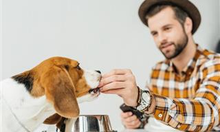 Be Careful of These 8 Home Items Around the Kids