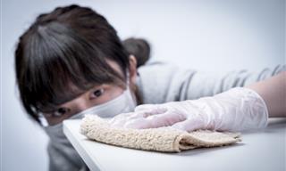 5 Ways Experts Deal With Cat Hair in Their Home