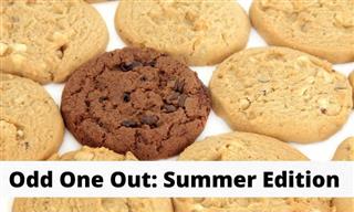 QUIZ: Odd One Out, Summer Edition!
