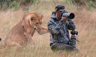 20 Times Wild Animals Caught Photographers Off Guard