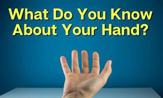 What Do You Know About Your Hands?