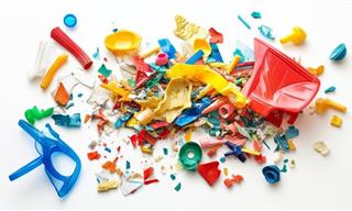 Could Plastic-Eating Microbes Help Clean Up Our Planet?