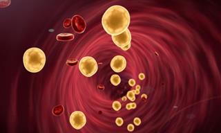 The Link Between Menopause and Cholesterol Levels